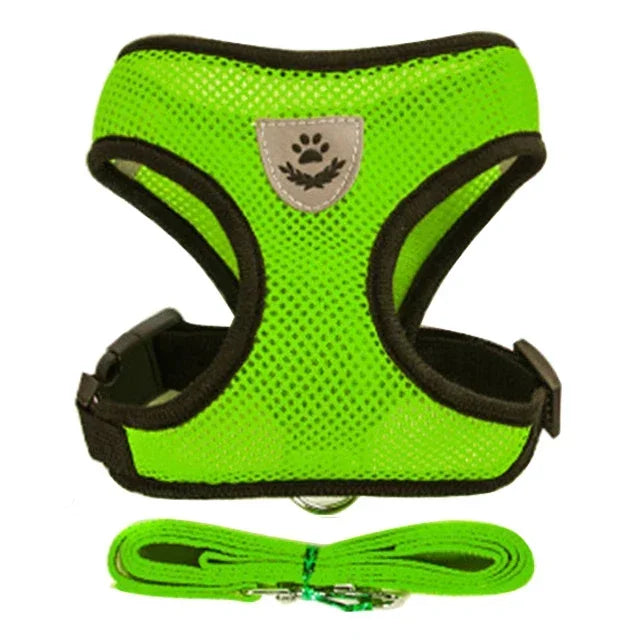 Cat and Dog Harness and Leash Set