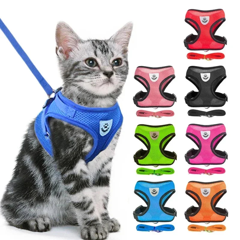 Cat and Dog Harness and Leash Set