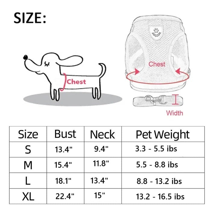 Cat and Dog Harness and Leash Set