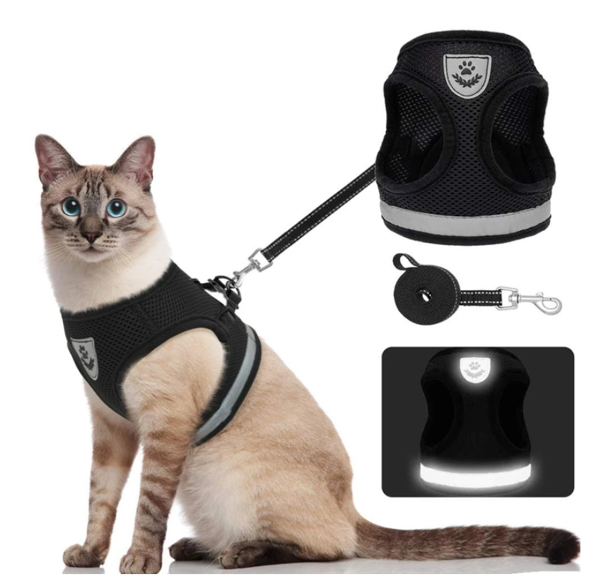 Cat Harness with Leash