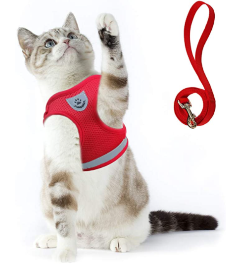 Cat Harness with Leash