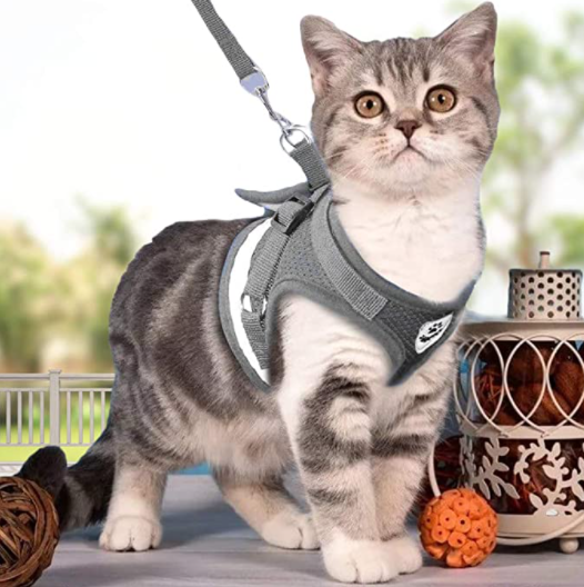 Cat Harness with Leash