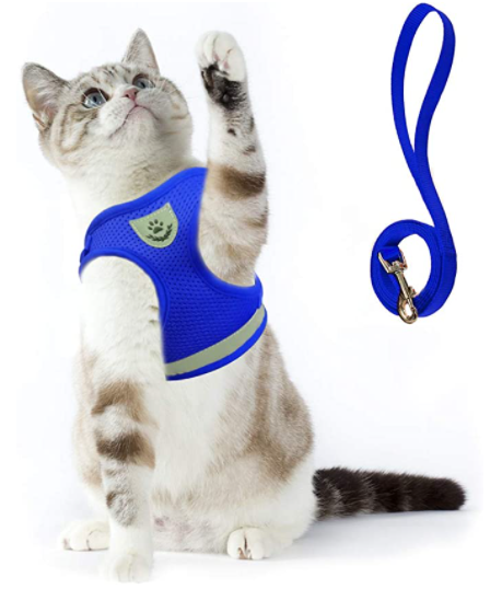 Cat Harness with Leash