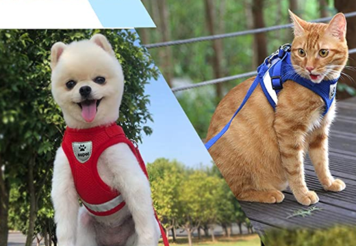 Cat Harness with Leash
