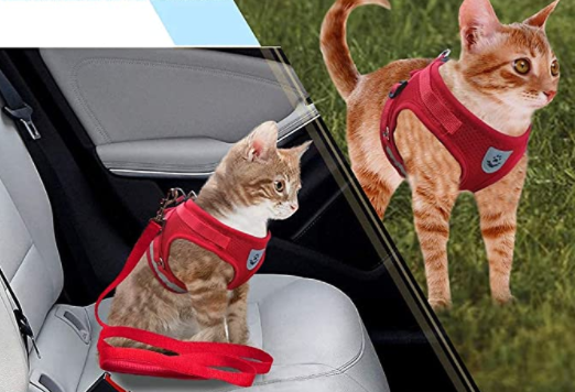 Cat Harness with Leash