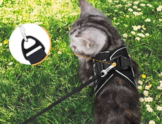 Cat Harness with Leash