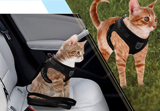Cat Harness with Leash