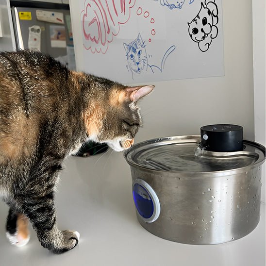 Cat Water Fountain | Wireless Fountain