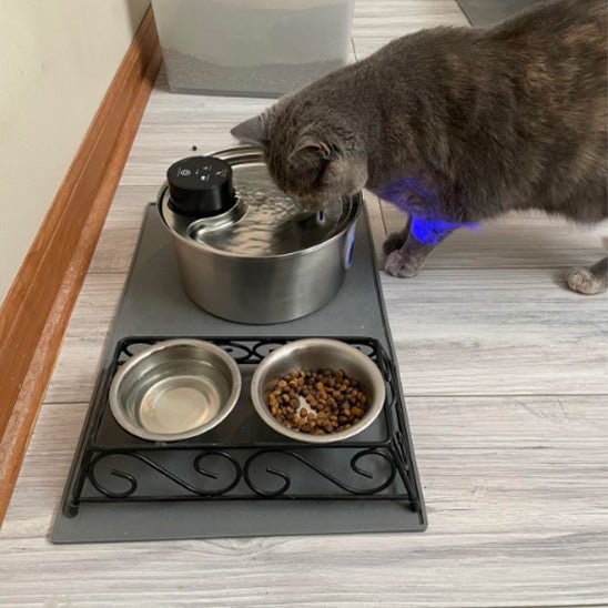 Cat Water Fountain | Wireless Fountain