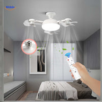 Ceiling Fan with Light | LED, E27 Socket & Stylish Ceiling Design