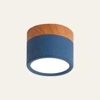 Ceiling Light - Compact LED Cylinder with Wooden Accent