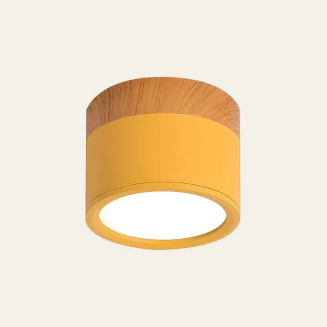 Ceiling Light - Compact LED Cylinder with Wooden Accent
