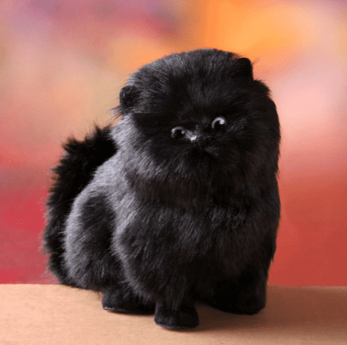 Charming Electric Interactive Plush Kitten Toy
