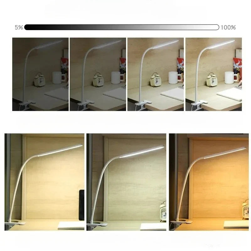 Clip-On LED Lamp with 3 Light Modes and 10 Brightness Levels, USB Powered, Flexible Gooseneck, Dimmable and Eye-Caring