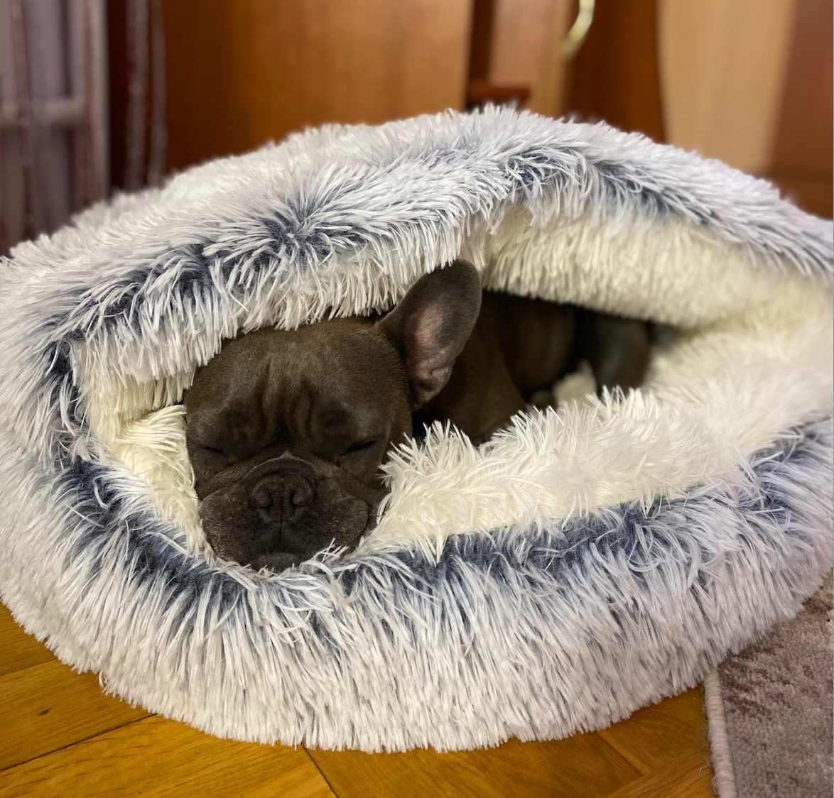 Comfortable Cave-Style Dog Bed with Non-Slip Base – Machine-Washable Plush Dog Cushion