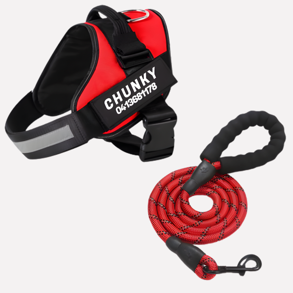Customizable No-Pull Dog Harness Vest with Front Clip