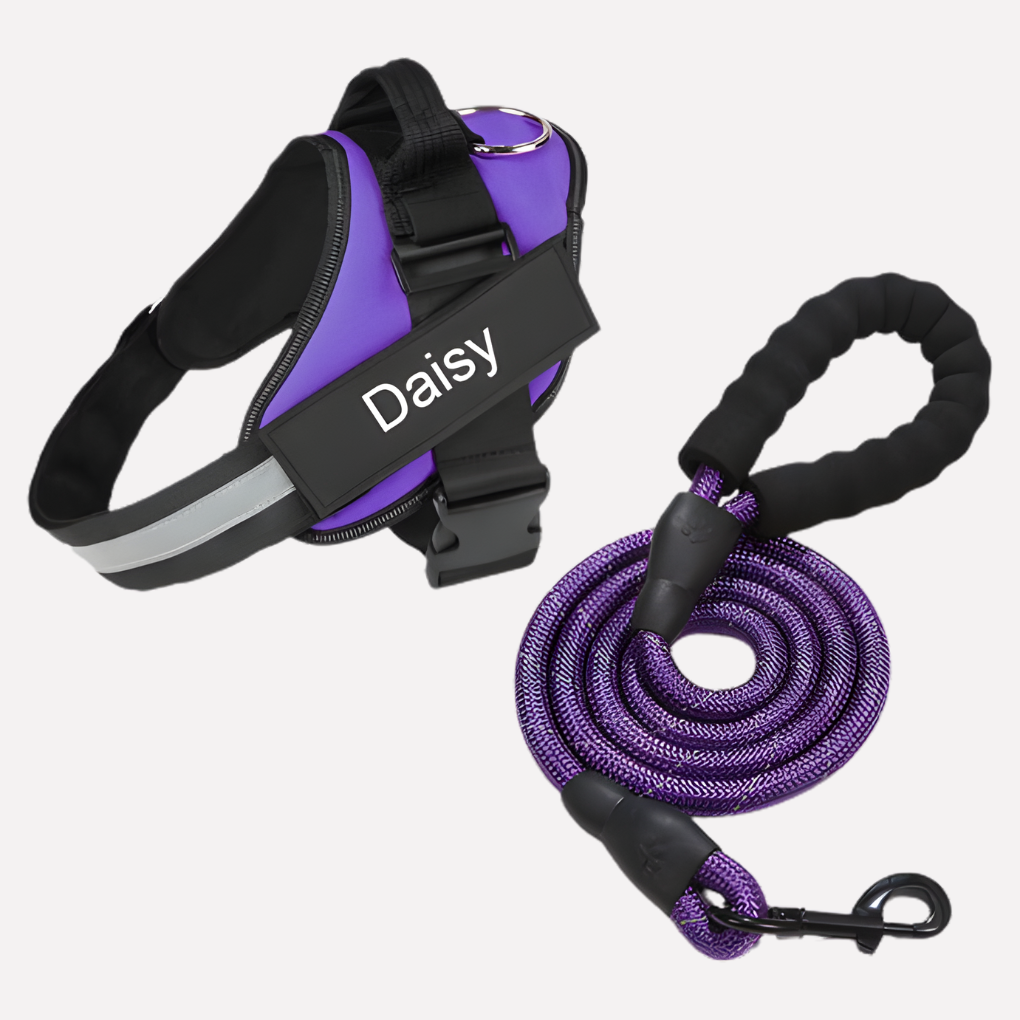 Customizable No-Pull Dog Harness Vest with Front Clip