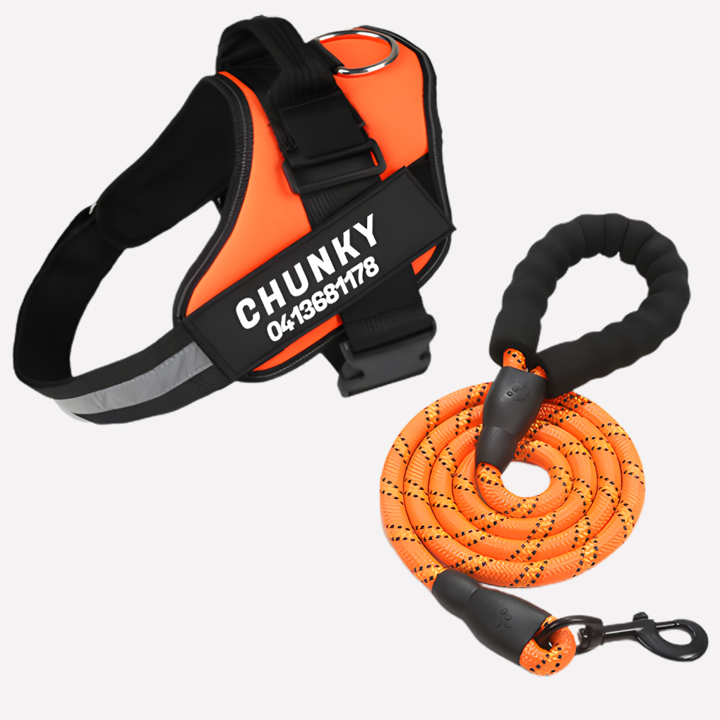 Customizable No-Pull Dog Harness Vest with Front Clip