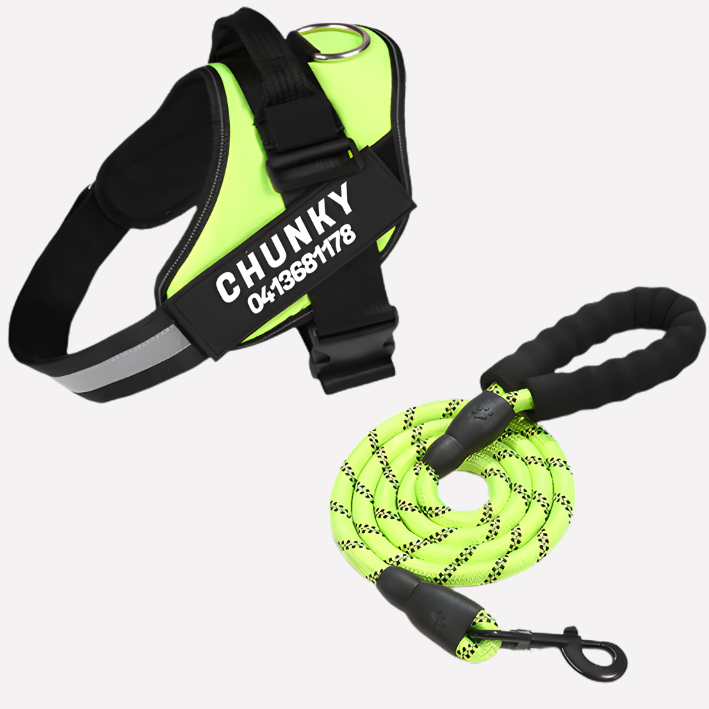 Customizable No-Pull Dog Harness Vest with Front Clip