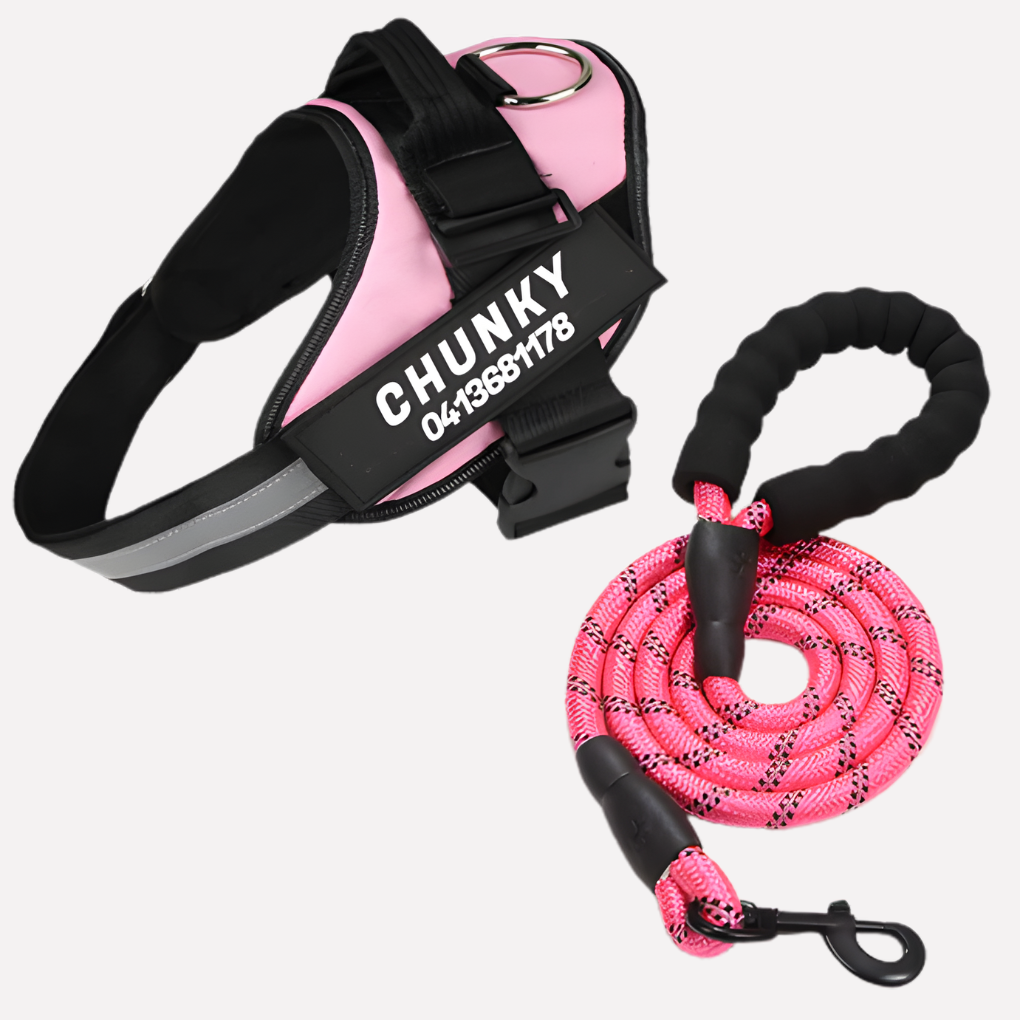 Customizable No-Pull Dog Harness Vest with Front Clip