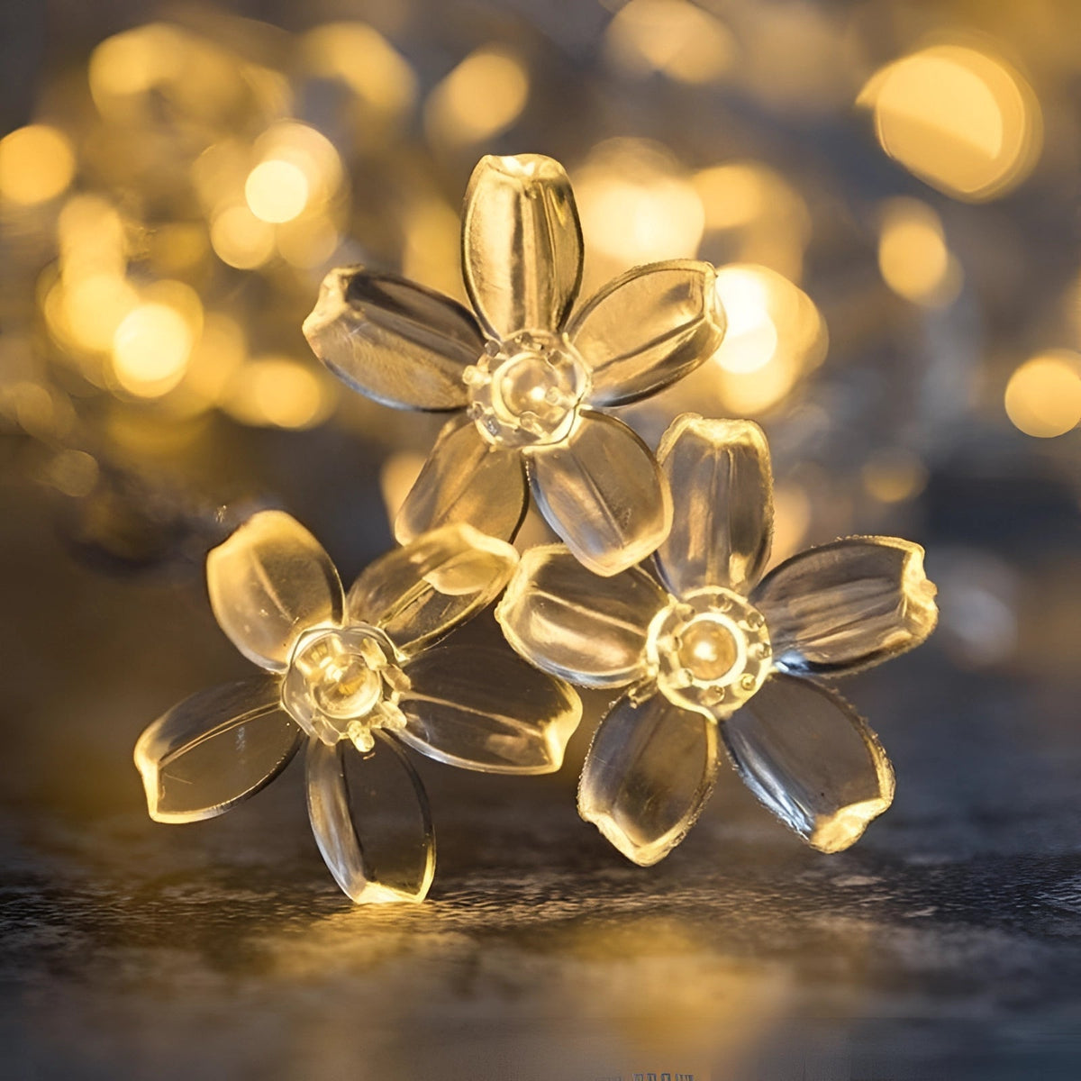 Decorative LED String Lights
