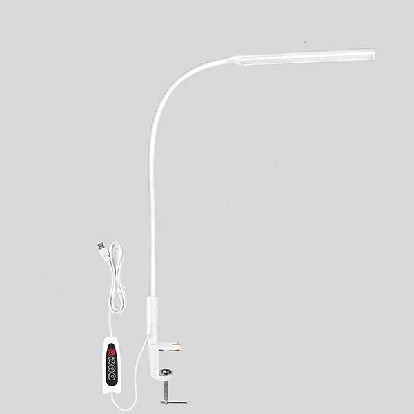 Desk Lamp with Flexible Arm, USB Powered, and Silver Finish