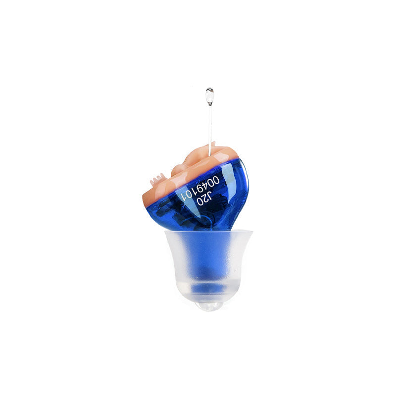 Digital CIC Hearing Aid with Noise Reduction