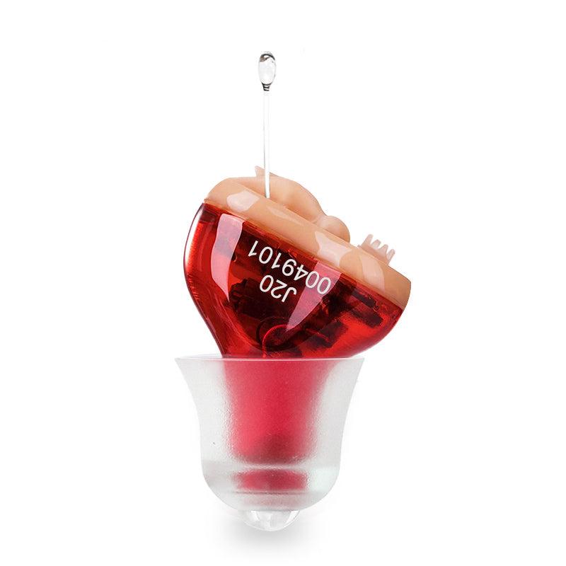 Digital CIC Hearing Aid with Noise Reduction