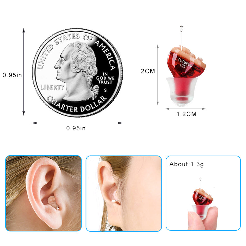 Digital CIC Hearing Aid with Noise Reduction