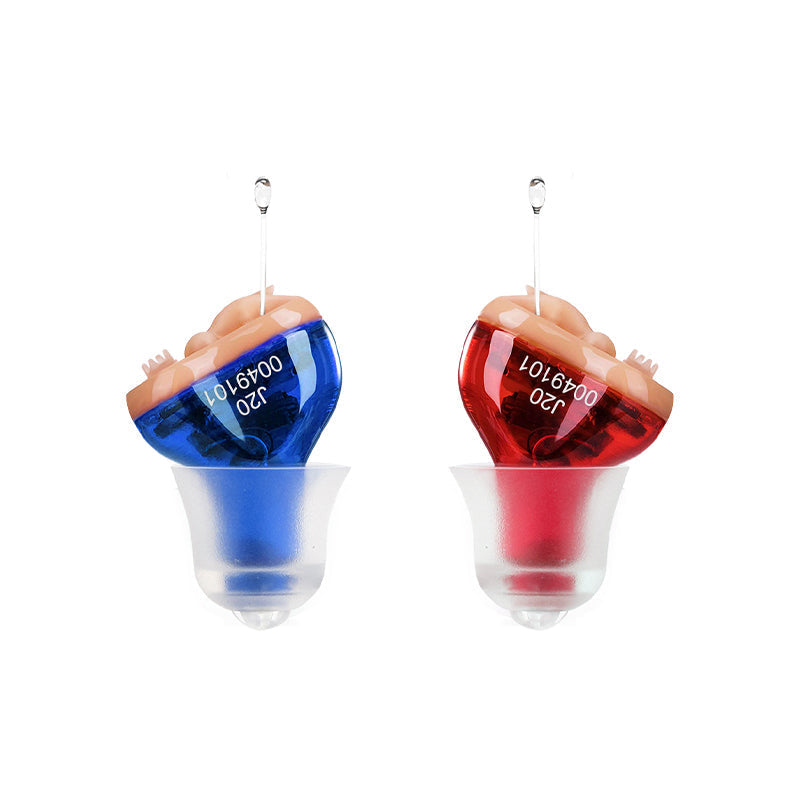 Digital CIC Hearing Aid with Noise Reduction