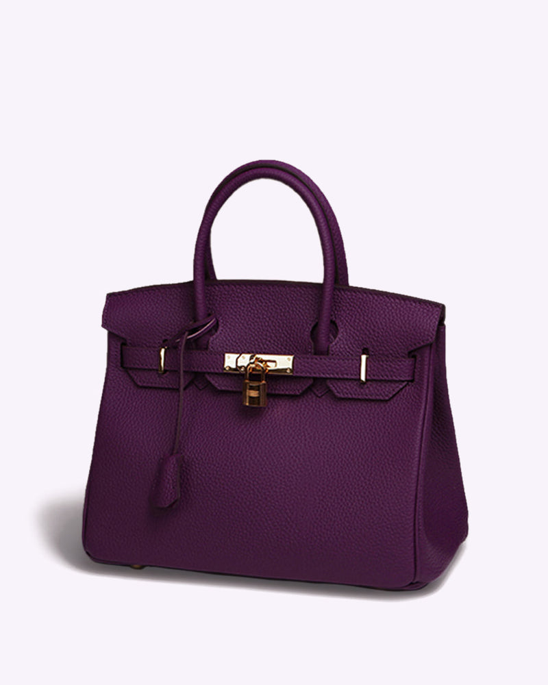 Discreet Luxury Handbag