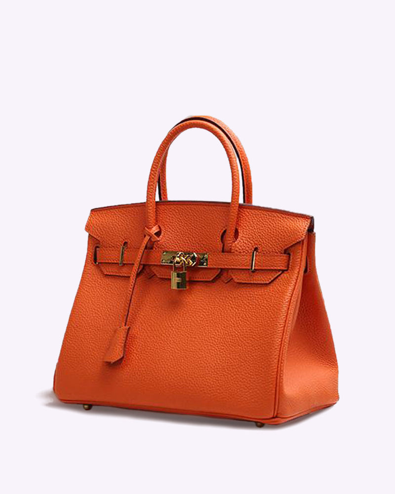 Discreet Luxury Handbag