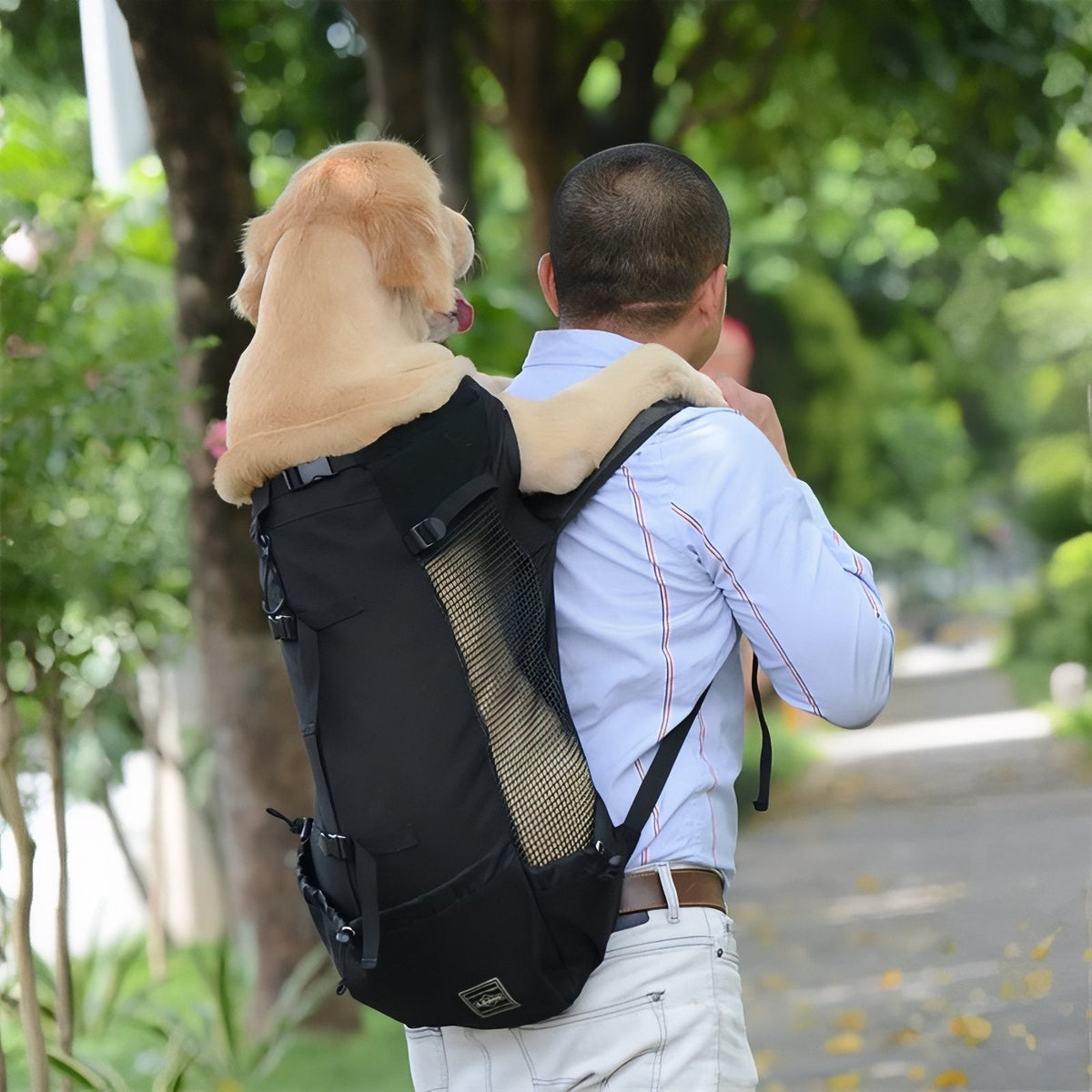 Dog Carrier Backpack for Hiking