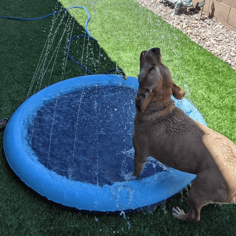 Dog Cooling Splash Pad – For Cooling Off and Playing in the Summer Heat