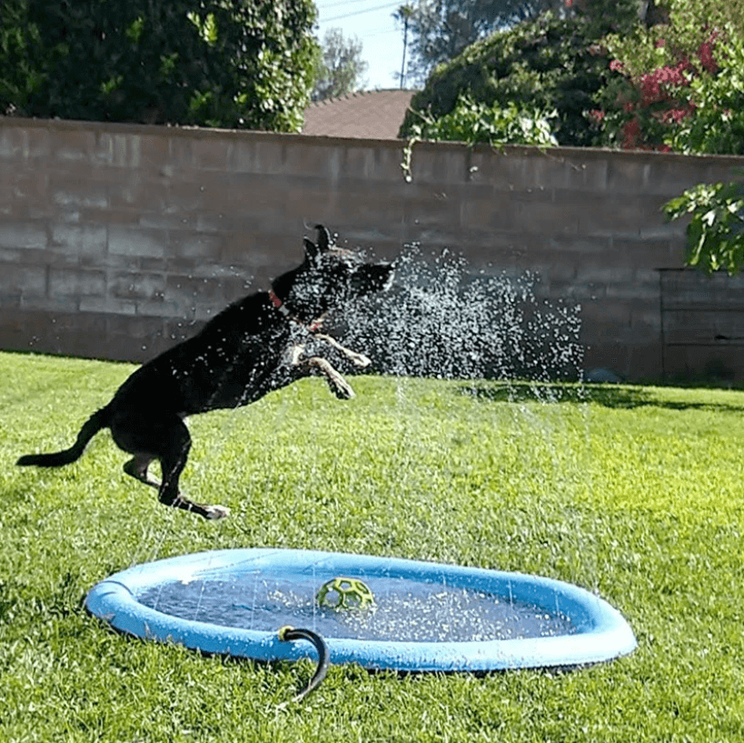 Dog Cooling Splash Pad – For Cooling Off and Playing in the Summer Heat