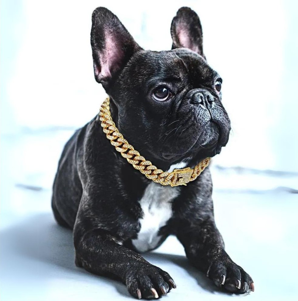 Dog Gold Chain Collar