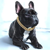 Dog Gold Chain Collar