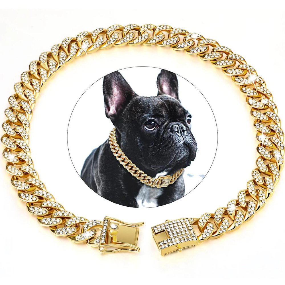 Dog Gold Chain Collar