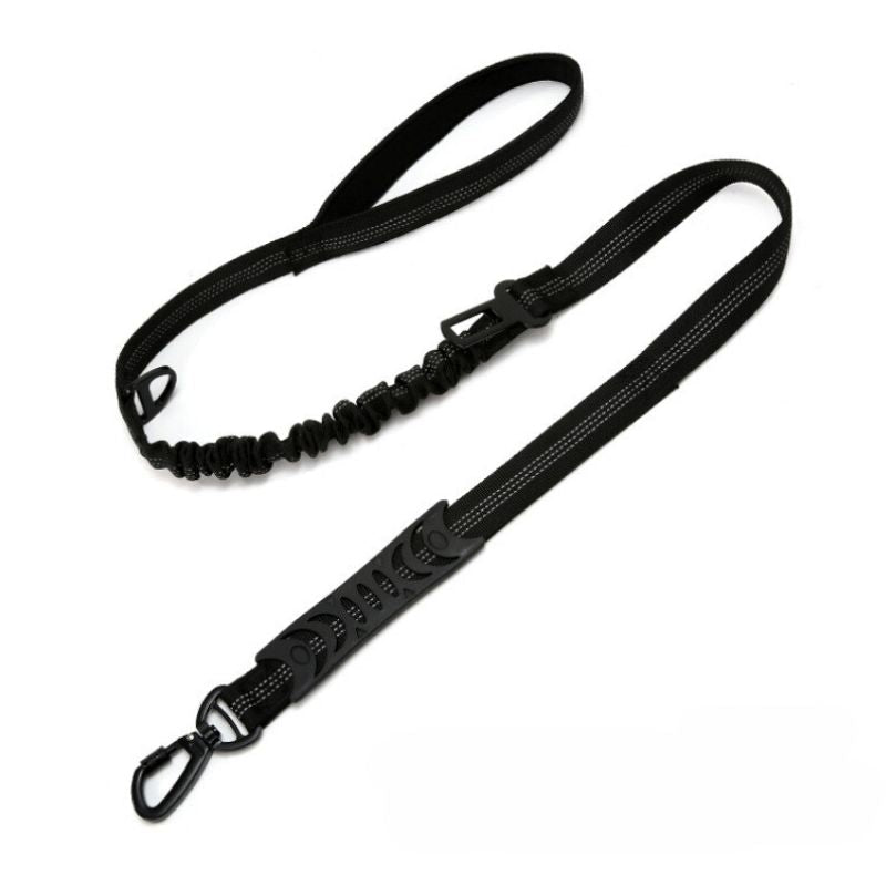 Dog Leash with Snap Hook