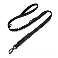 Dog Leash with Snap Hook