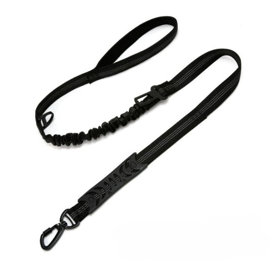 Dog Leash with Snap Hook