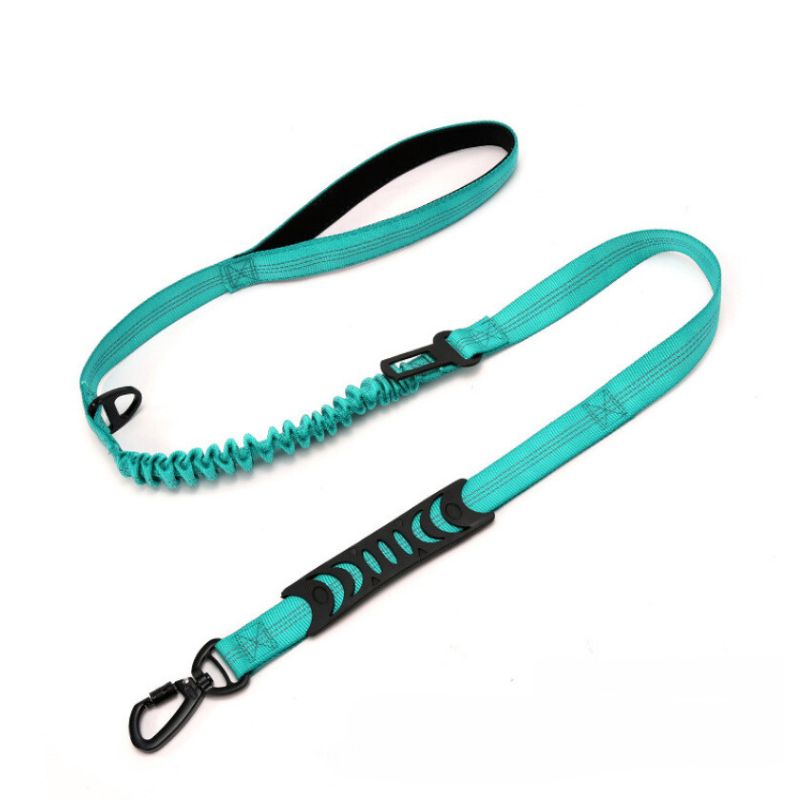 Dog Leash with Snap Hook