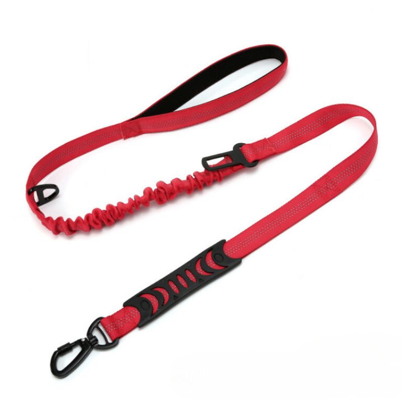 Dog Leash with Snap Hook