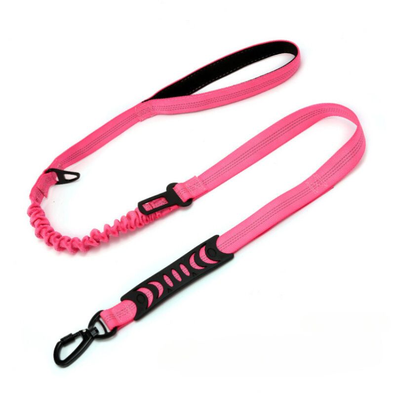 Dog Leash with Snap Hook