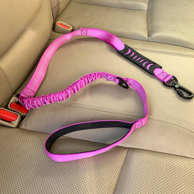 Dog Leash with Snap Hook