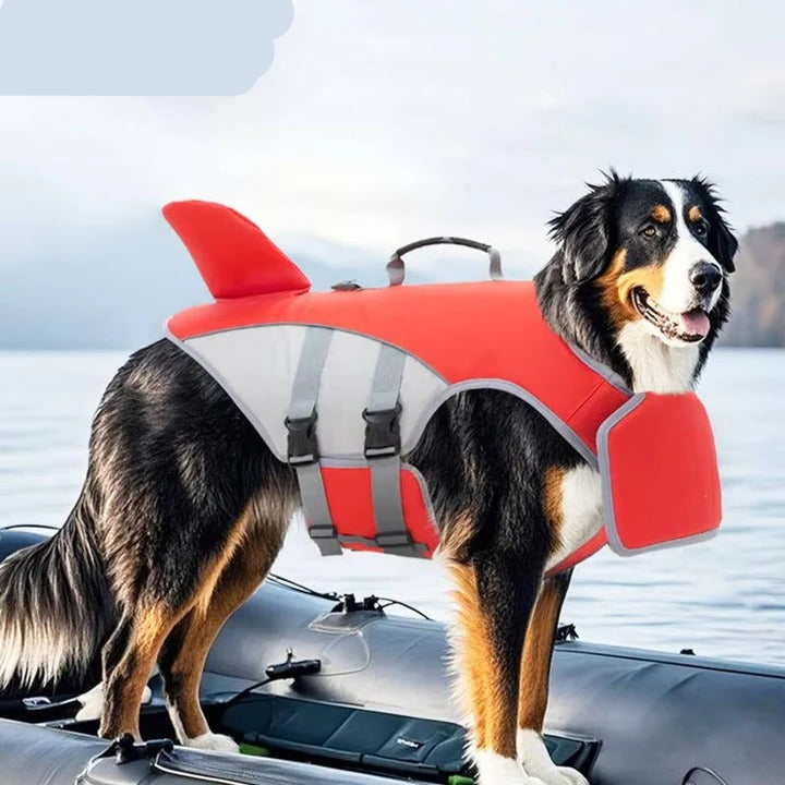 Dog Life Jacket with Buoyancy Support