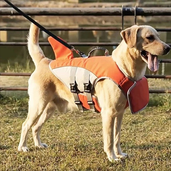 Dog Life Jacket with Buoyancy Support