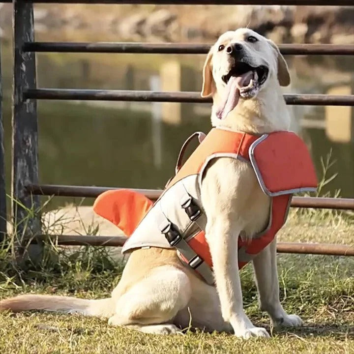 Dog Life Jacket with Buoyancy Support
