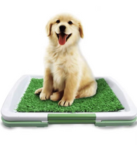 Dog Litter Box with Artificial Grass - Hygienic for Indoor & Outdoor Use