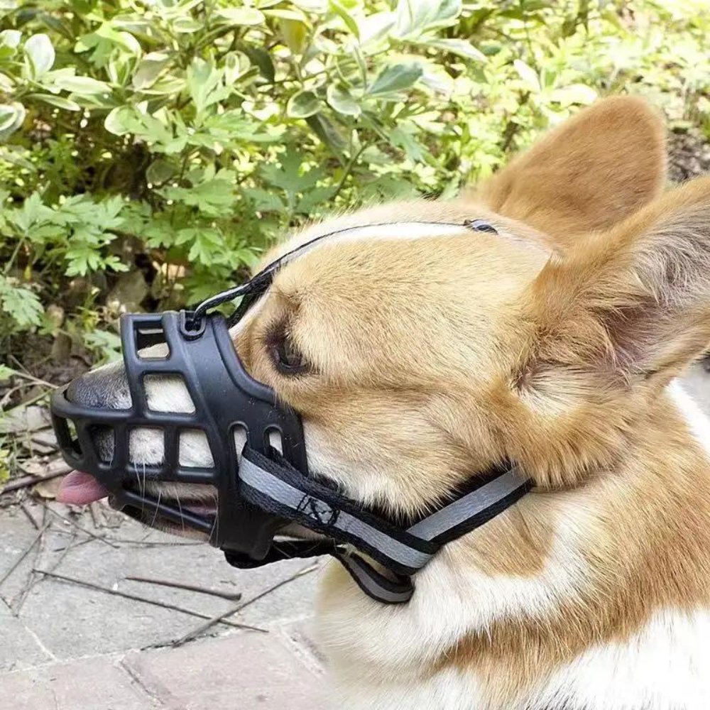 Dog Muzzle | Safety Product for All Dog Breeds and Sizes